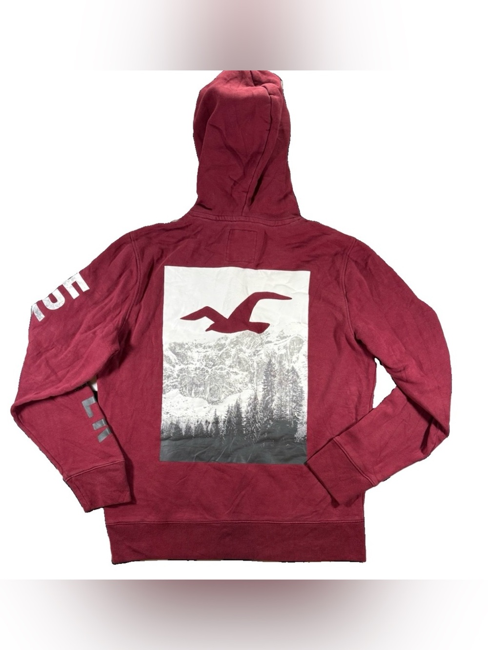 Hollister Mountain Graphic Hoodie Men's Large Red Pocket Hooded Y2K Logo